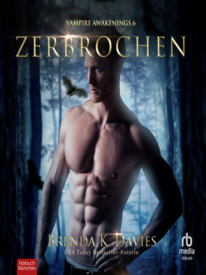 cover image of Zerbrochen